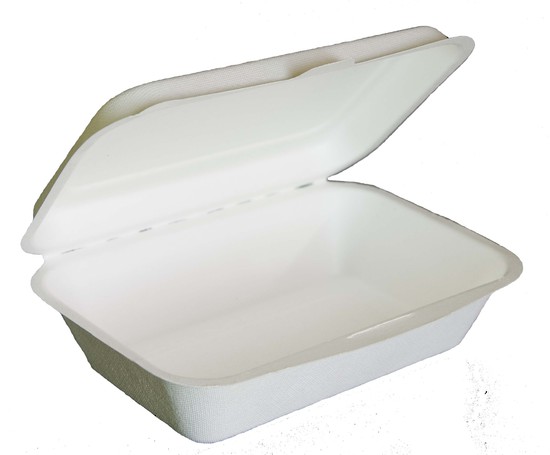 Sugar Cane Rectangular Clamshell - Green Choice