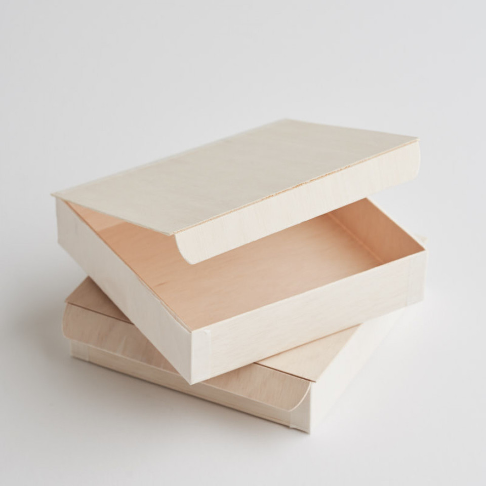 Verterra Collapsible Small Square Box with Lid - Epicure