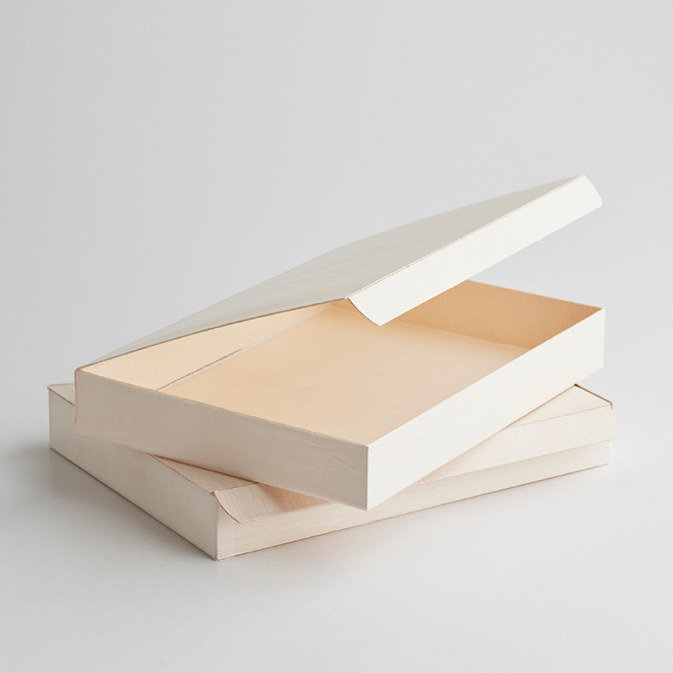 Verterra Collapsible Large Deep Tray with Lid - Epicure