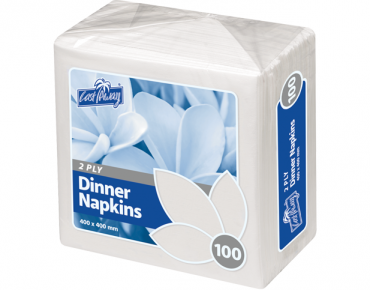 2 Ply Dinner Napkins, Quarter Fold, White - Castaway