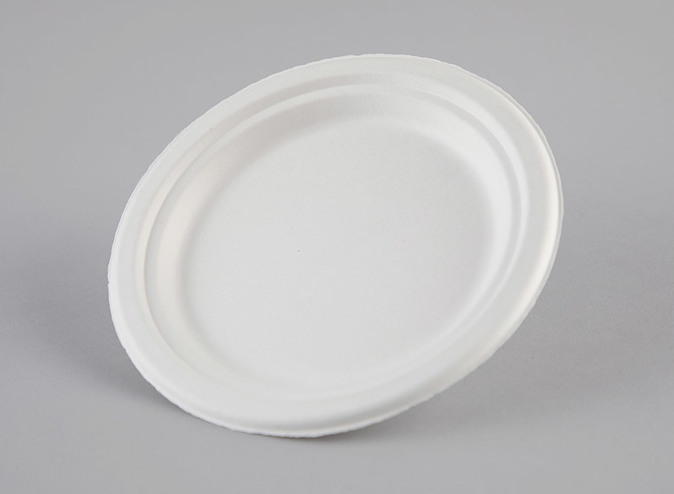 Enviroware 23cm Main Plate - Coastal