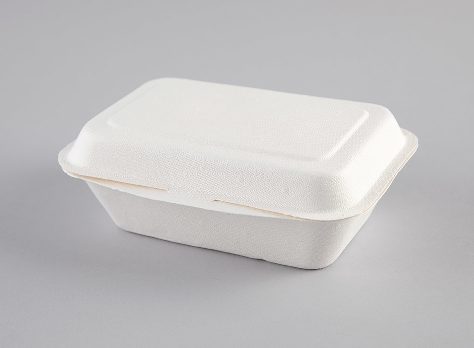 Enviroware 350ml Hinged Container - Coastal