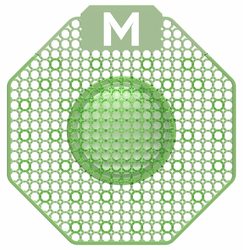 Scented Enzyme Block Urinal Screen - Green, Cucumber Melon Pack 10 - Matthews