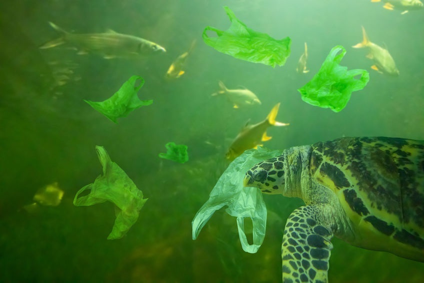 With compostable bin liners NZ businesses can make a difference